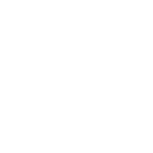 Pictogramme stand professionnel - stockage